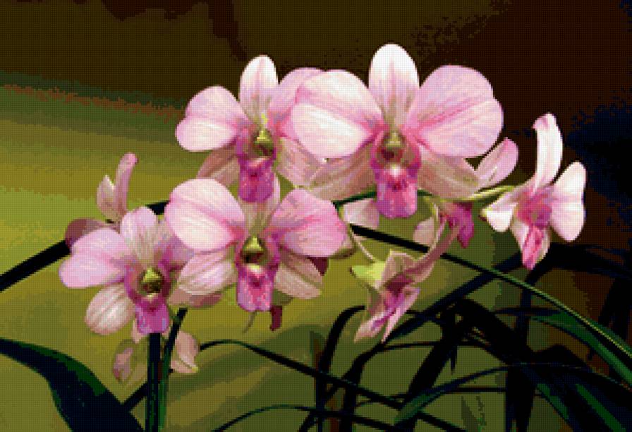 из цикла Орхидеи... - предпросмотр