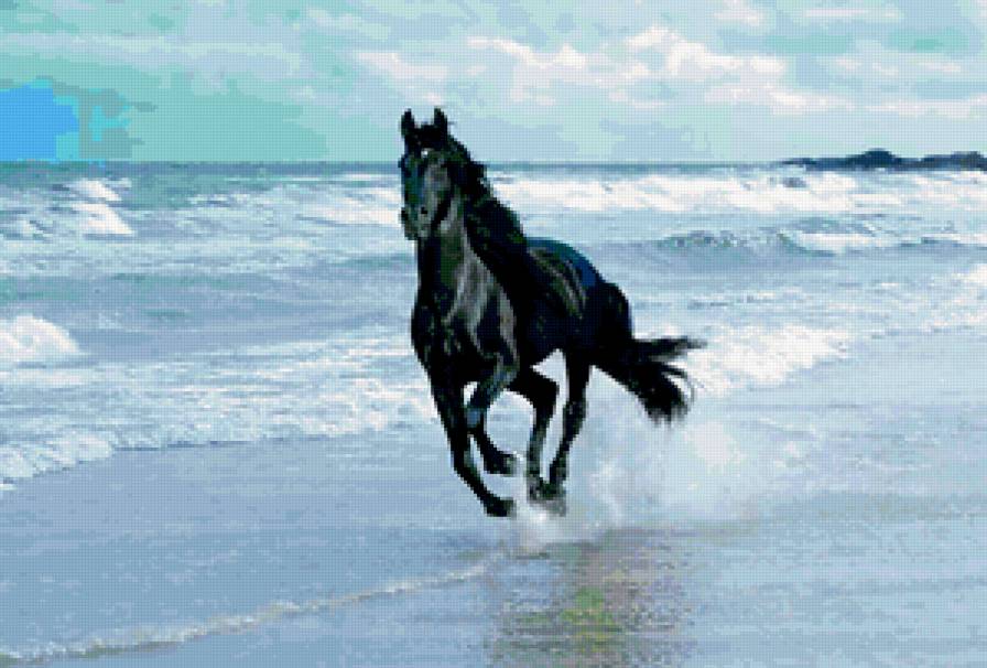 свобода - берег моря, конь, волны, море - предпросмотр