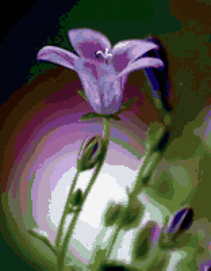 Колокольчик - цветы - предпросмотр