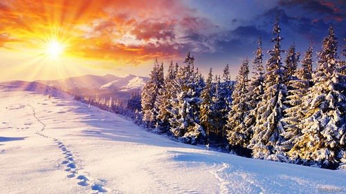 №410031 - зима, пейзаж, снег, деревья, природа, сугробы - оригинал