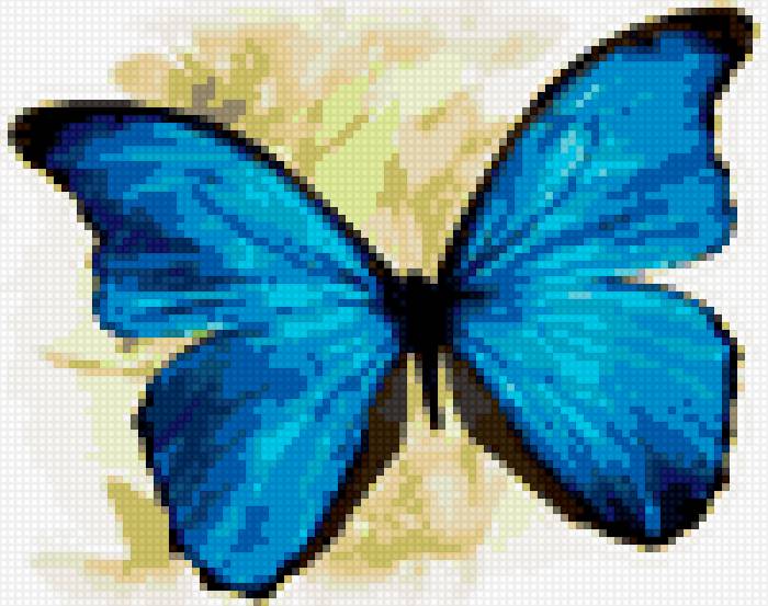 Бабочка - бабочка - предпросмотр