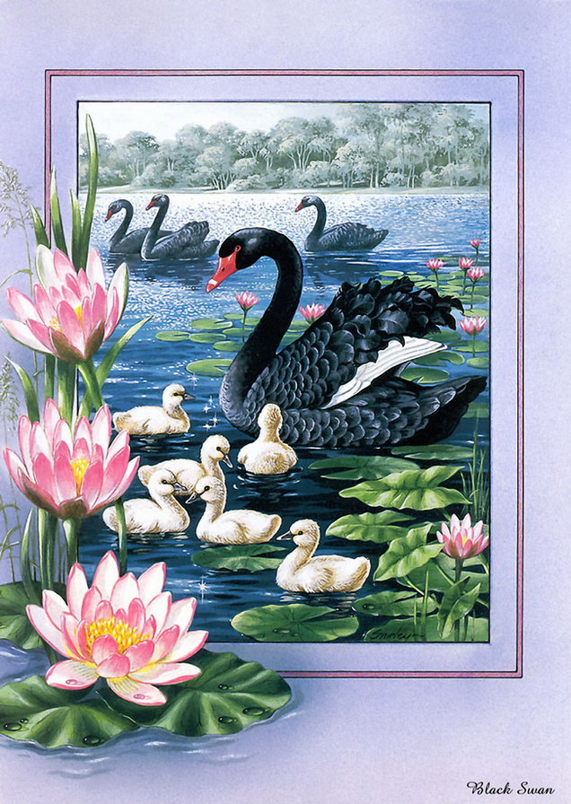 Серия "Птицы" - лебеди, птицы, река, цветы, пейзаж - оригинал