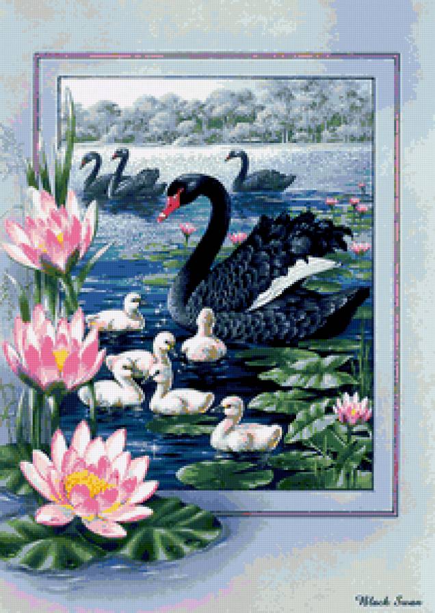 Серия "Птицы" - лебеди, цветы, пейзаж, река, птицы - предпросмотр