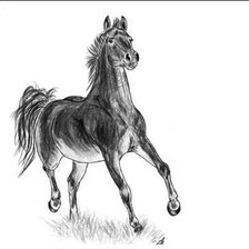 Оригинал схемы вышивки «лошадь» (№410580)