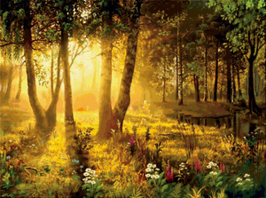 Утро в лесу - утро, береза, лес, пейзаж, поляна - предпросмотр