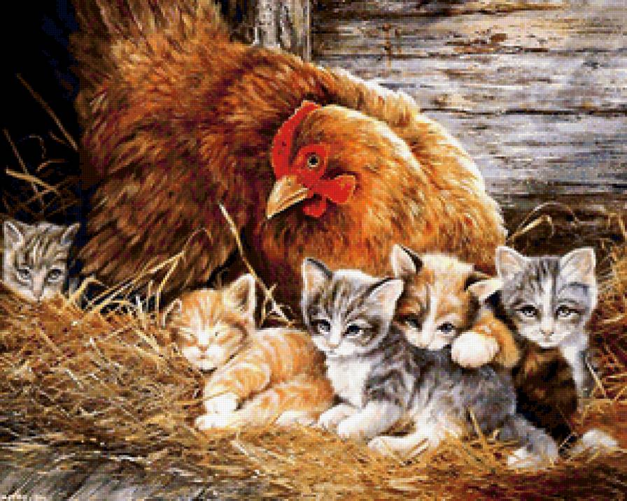 Необычные цыплята - котенок, кошка, курица, животные, кот - предпросмотр