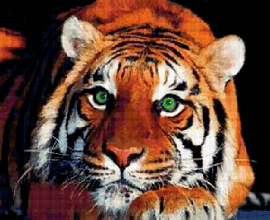 тигр - зеленые глаза, животные - предпросмотр