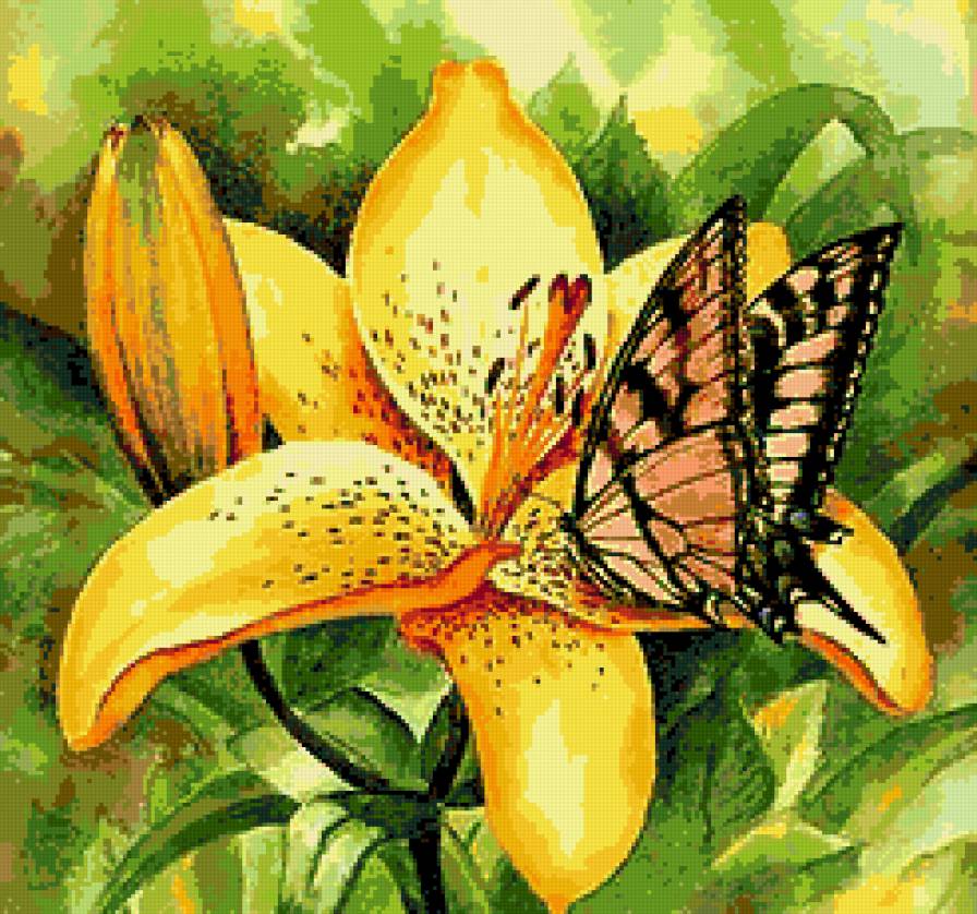 цветы и бабочки - цветы, бабочки - предпросмотр