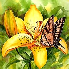 Оригинал схемы вышивки «цветы и бабочки» (№411857)