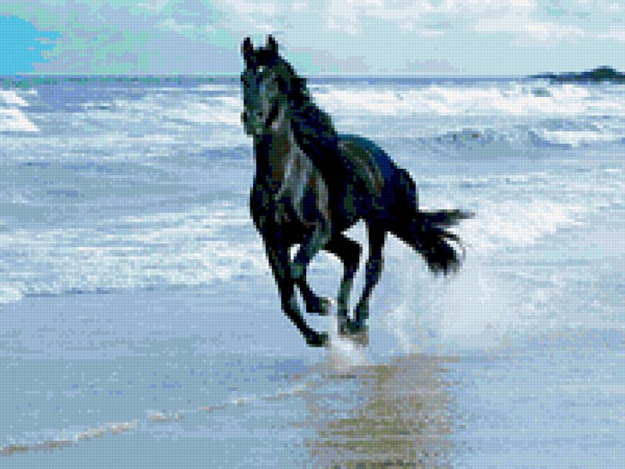 Бег - море, лошадь - предпросмотр