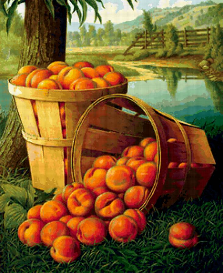 Персики - натюрморт - предпросмотр