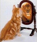 У зеркала - зеркало, лев, кот - оригинал