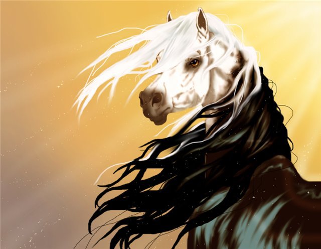 красивые лошади (подборка) - конь, благородный, лошади - оригинал