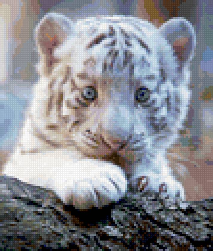 тигрёнок 2 - тигр - предпросмотр