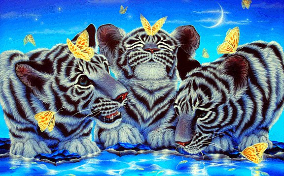 Забавные тигрята - животные - оригинал