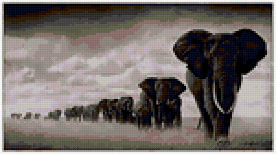 слоны - слон, природа, африка, животные - предпросмотр