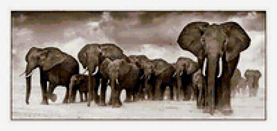 слоны - африка, слон, животные - предпросмотр