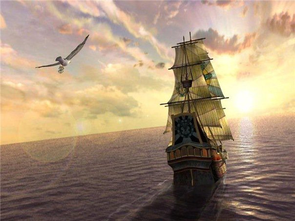 Корабль - корабль, чайка, пейзаж, море - оригинал
