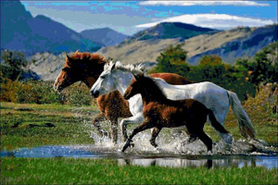 Лошади - лошади, табун, горы, природа - предпросмотр