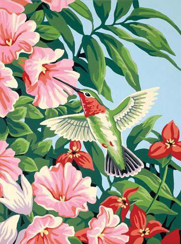 колибри - цветы, колибри - оригинал