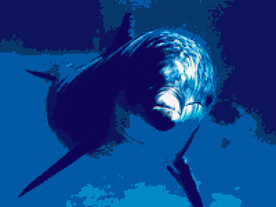 дельфин - дельфин - предпросмотр