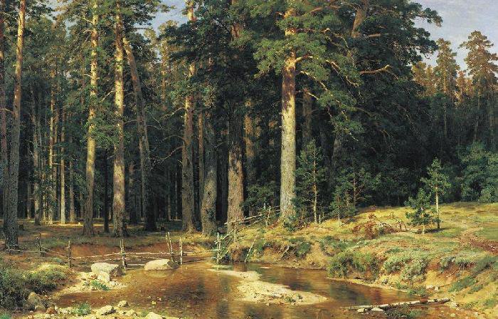 Шишкин И.И. Корабельная роща - пейзаж, живопись, природа, деревья - оригинал