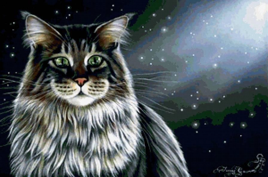 Сибирский кот - кот, кошка - предпросмотр