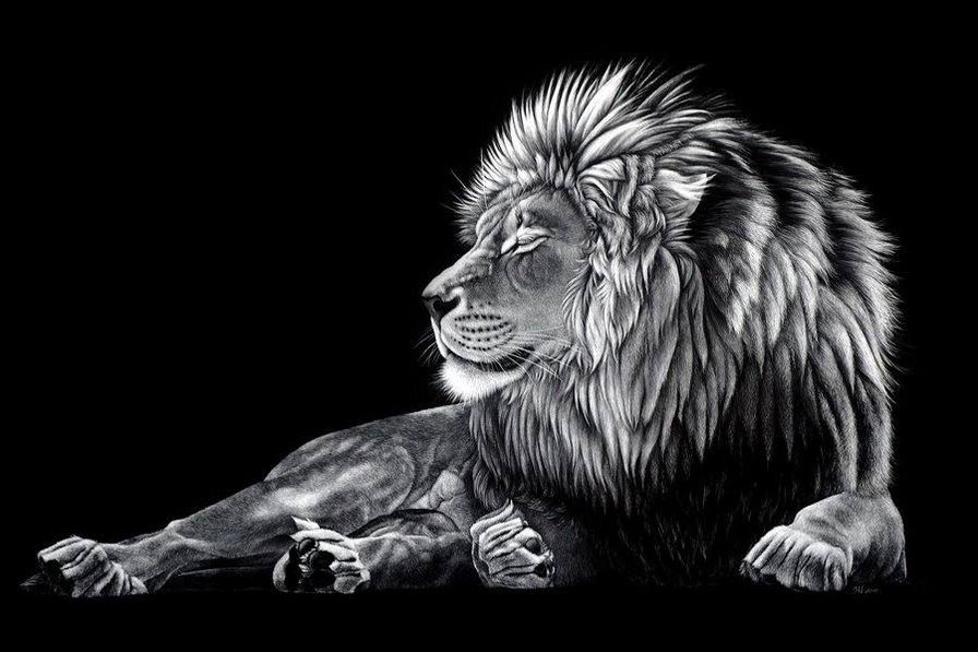 Лев 2 - львы, лев, большие кошки, животные - оригинал