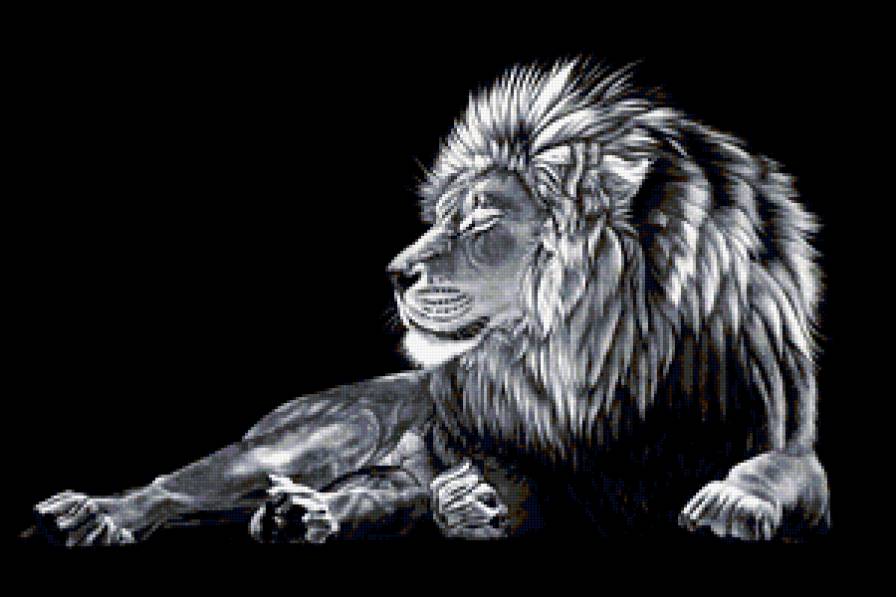 Лев 2 - лев, львы, животные, большие кошки - предпросмотр