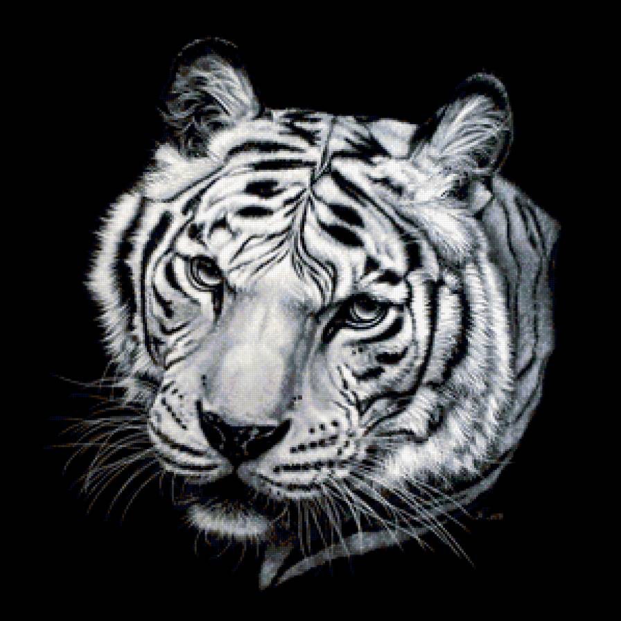 Тигр - тигр, большие кошки, животные, тигры - предпросмотр
