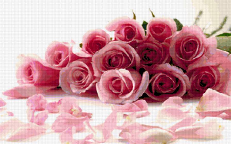 розовые розы - розовые розы - предпросмотр