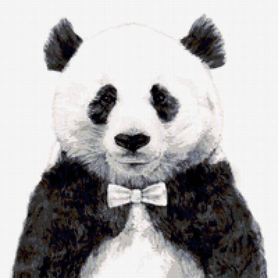 panda - панда - предпросмотр