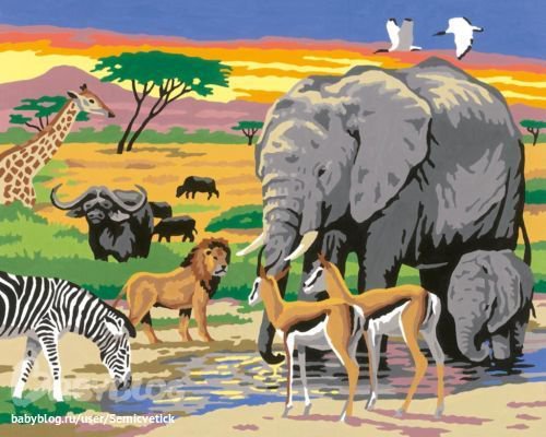Африка - африка, животные - оригинал