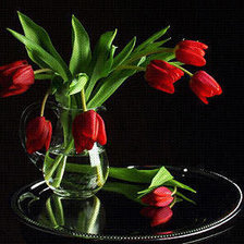 Оригинал схемы вышивки «Красные тюльпаны» (№415071)