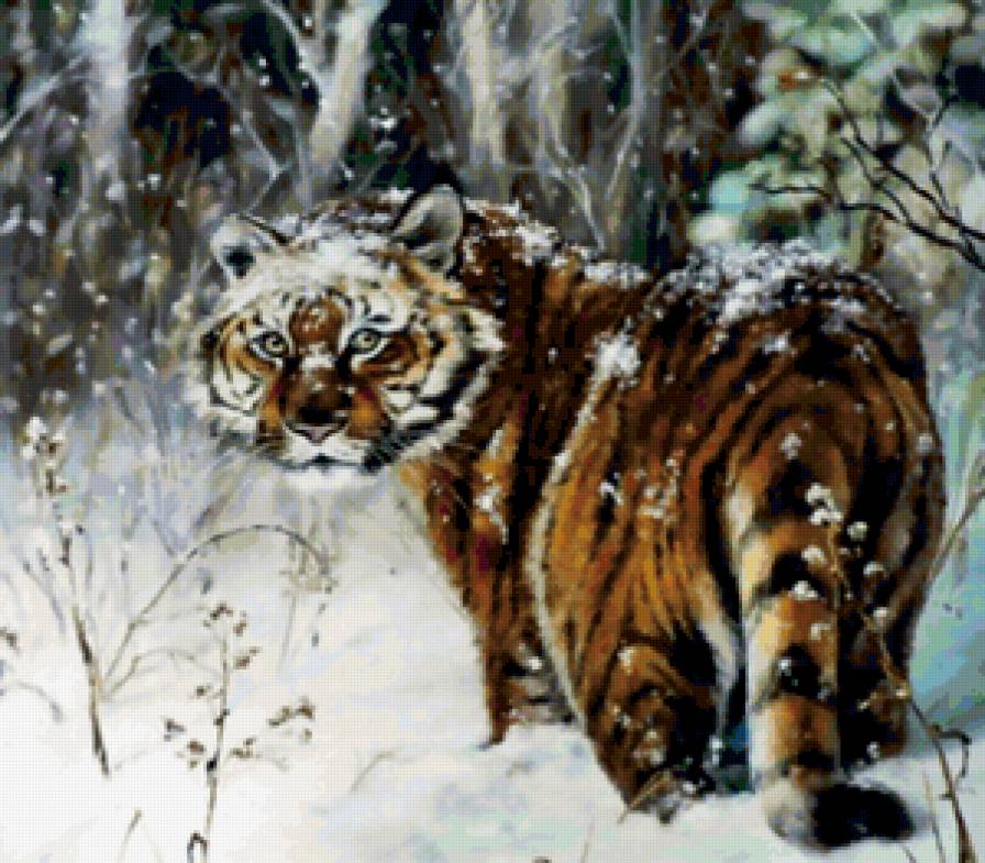 Тигр - тигр, дикие кошки, животные - предпросмотр