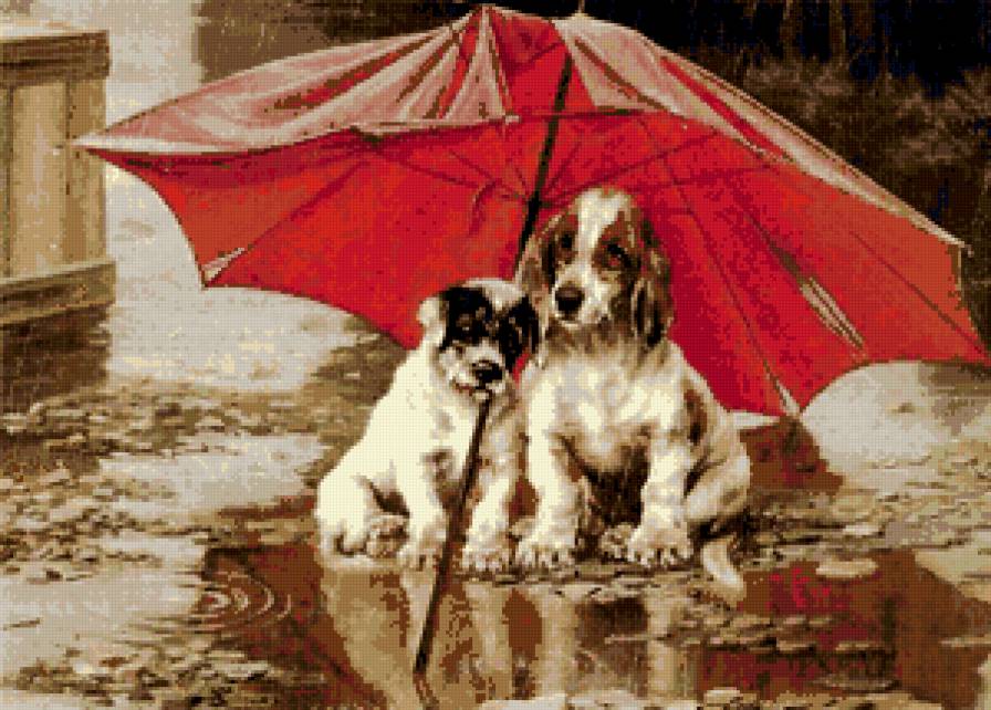 собаки под зонтом два - собаки - предпросмотр