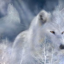 Оригинал схемы вышивки «Снежный волк» (№415435)