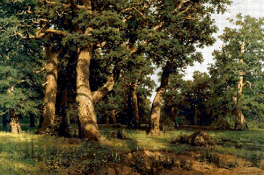 Шишкин И.И. Дубовая роща - пейзаж, природа, деревья, живопись - предпросмотр