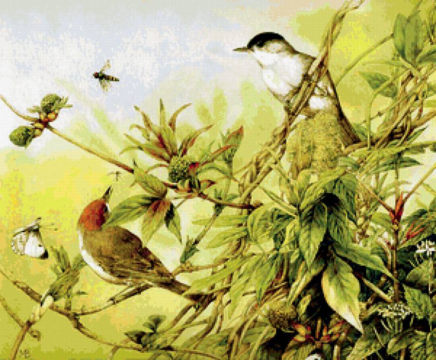 Серия "Птицы" - птицы, природа, растение - предпросмотр