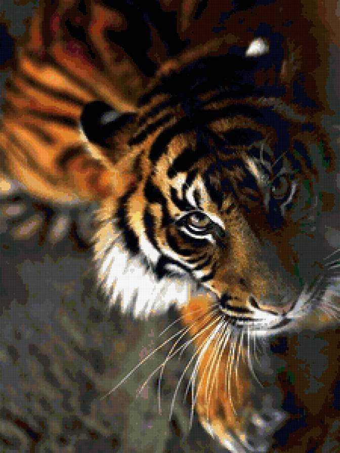 тигр 3 - животные - предпросмотр