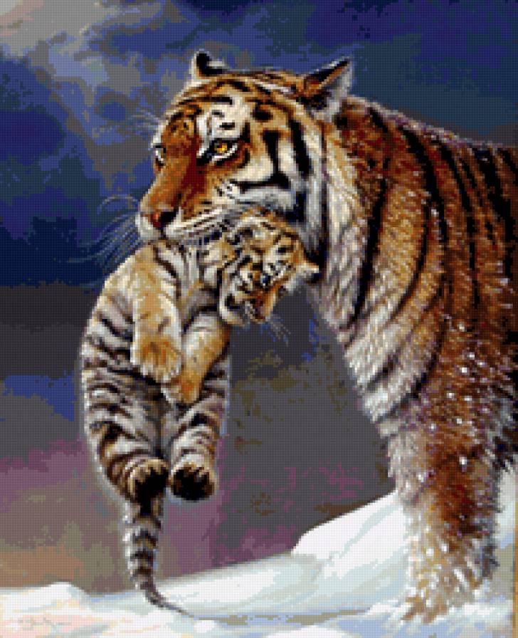 тигрица с тигренком - зима тигр - предпросмотр