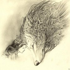 Оригинал схемы вышивки «Волк» (№416556)