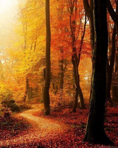 Осень - autumn, осень - оригинал