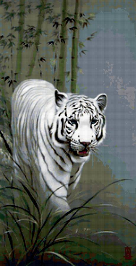 Тигр - кот, животные - предпросмотр