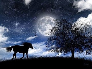 ночь - ночь, полнолуние, луна, конь, лошадь, скачка - оригинал
