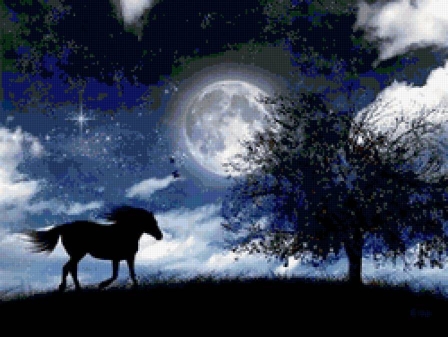 ночь - лошадь, скачка, ночь, конь, луна, полнолуние - предпросмотр