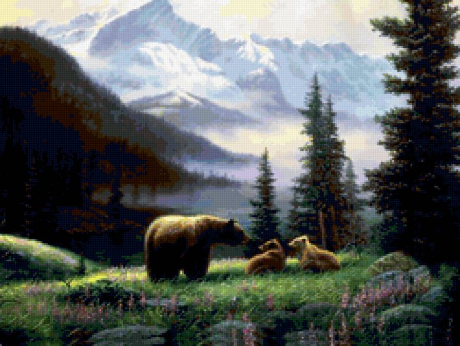 медведи - природа, медведи, животные, пейзаж - предпросмотр