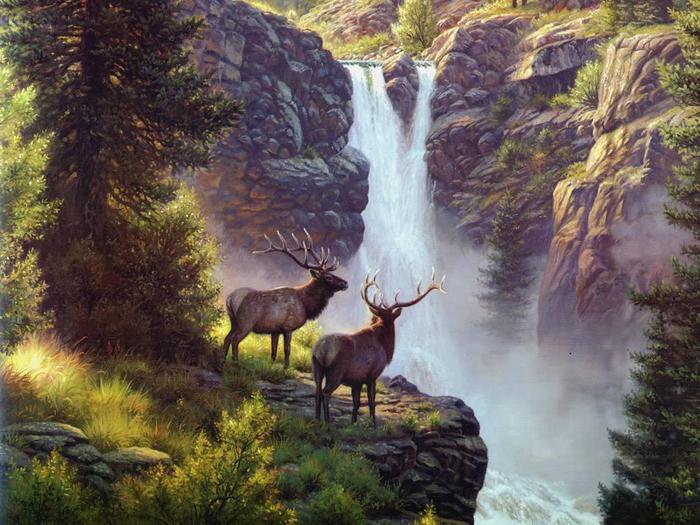 олени у водопада - водопад, пейзаж, олени, природа - оригинал