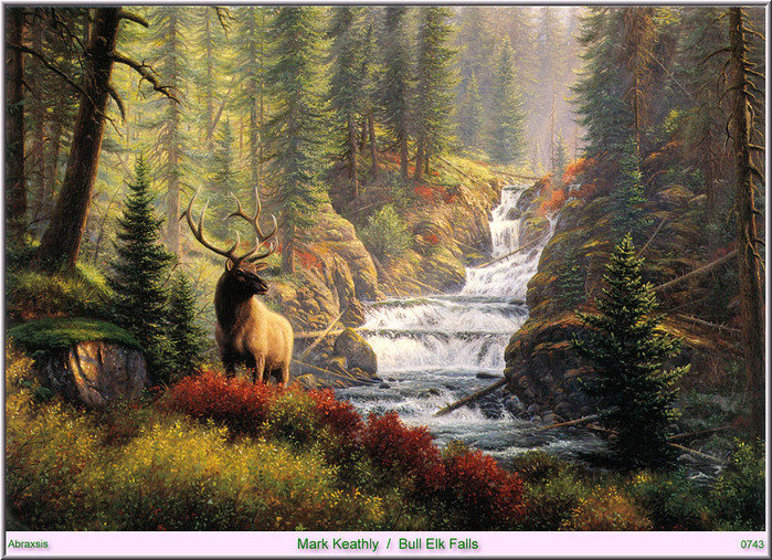 олень у реки - река, олени, пейзаж, природа, водопад - оригинал