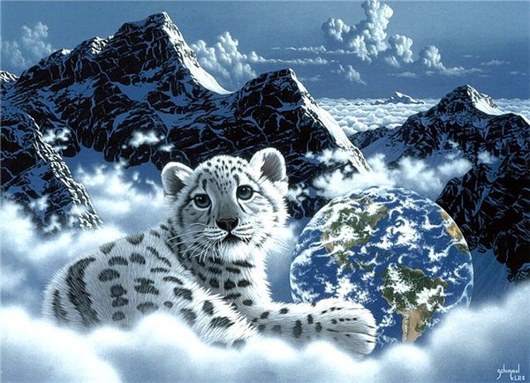 белый тигренок - тигр, кошки - оригинал